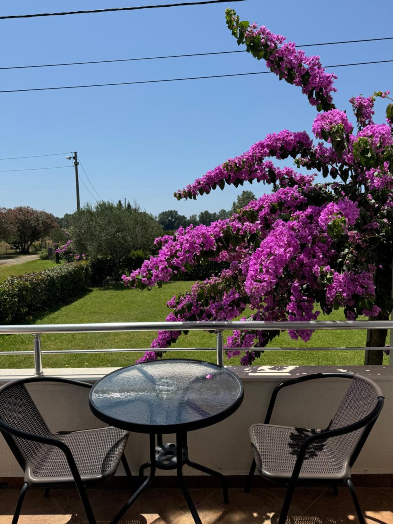 Sunrise House Apartments Ulcinj Bagian luar foto
