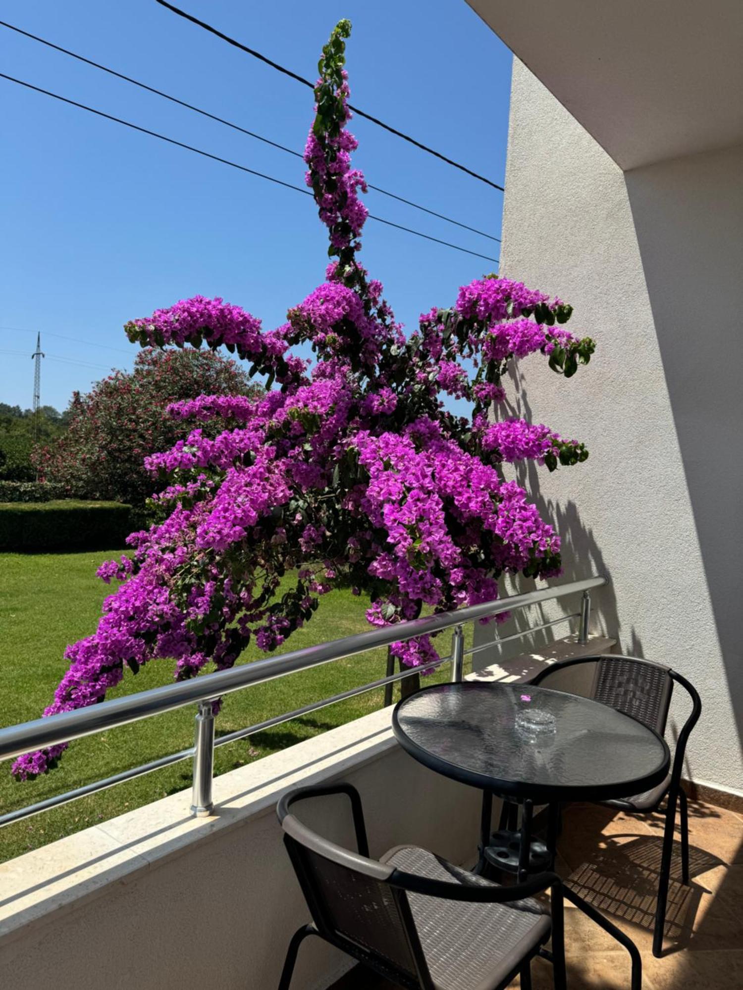 Sunrise House Apartments Ulcinj Bagian luar foto